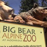 Big Bear Zoo